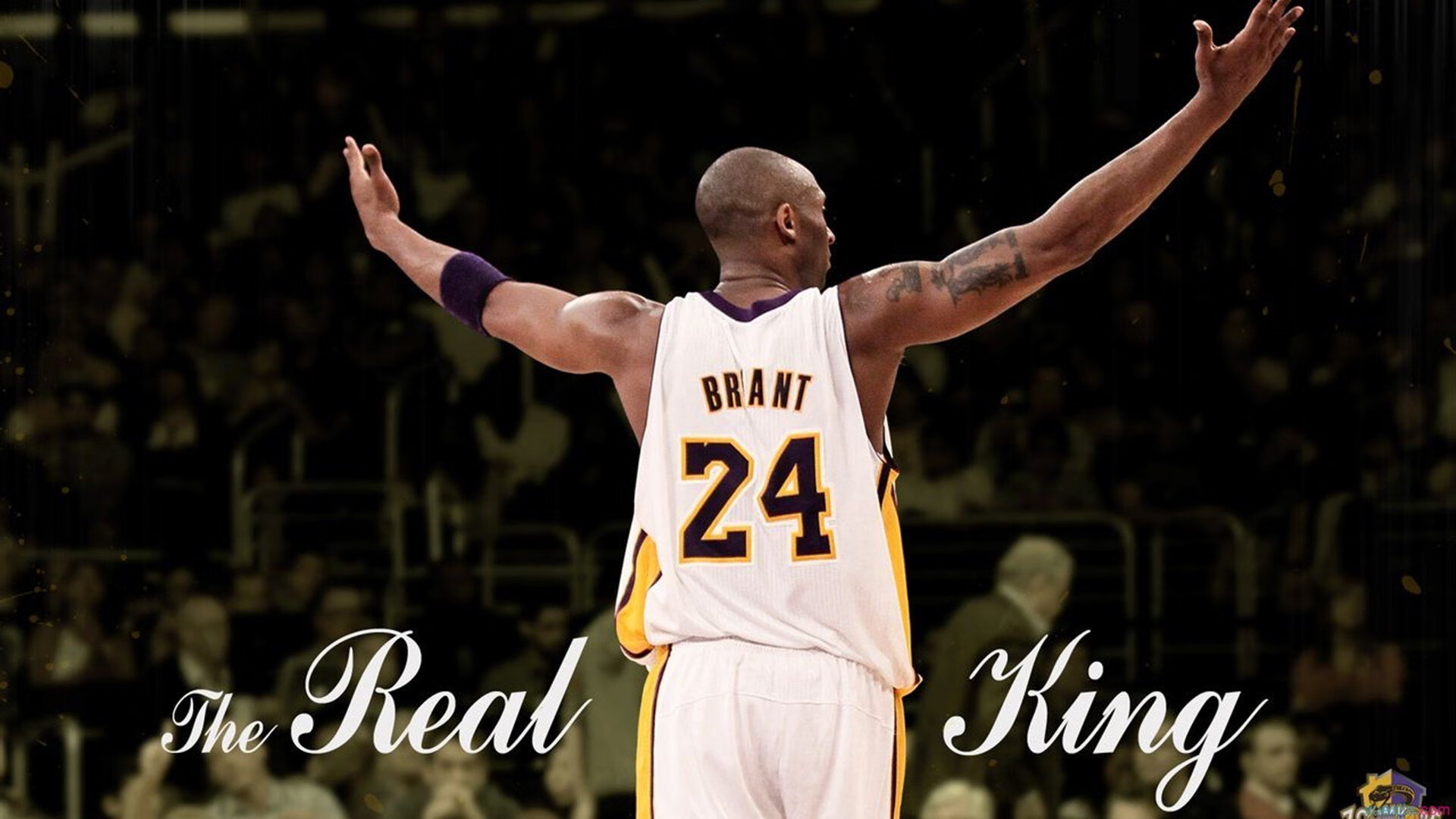 体育场馆智能化升级 提升观赛体验，智能体育场馆管理系统